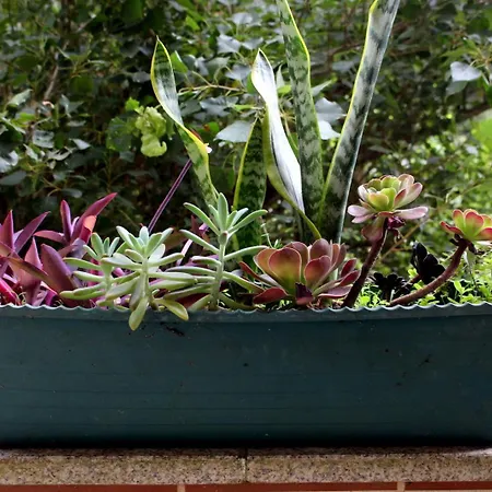 Casa Do Artista Feriehus Vila Verde (Braga)