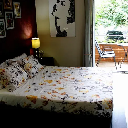 Casa Do Artista Vila Verde (Braga)