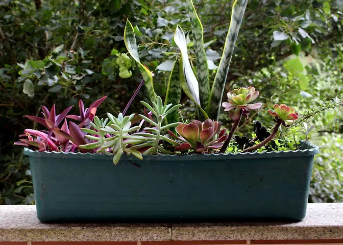 Casa Do Artista Casa de Férias Vila Verde (Braga)